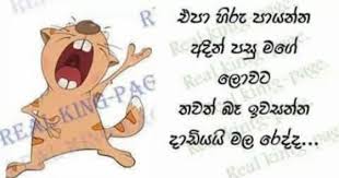 Sinhala sms, good night, good morning sms, new year wishes sms sinhala, sinhala joke sms, birth day sms, nisadas, sinhala quotes, vesak sms, sri lanka sms messages, sinhala popular sms, adara sms ,upandina suba pathum, vihilu sms, sinhala love sms, sinhala insult sms, sinhala 18 sms, birthday wish sms sinhala, sinhala good morning sms, love sms sinhala, jokes sinhala sms, sinhala funny sms. Google Jokes Quotes Jokes Photos Jokes