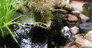 Online shopping for pond liners & seals from a great selection at patio, lawn & garden store. Best Most Durable Pond Liners In 2021 Reviews