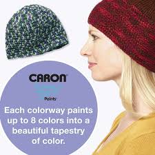 Caron Simply Soft Paints #4 Medium Acrylic Yarn, Rainbow Bright 5oz/141g, 235 Yards (12 Pack)