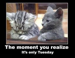 Maybe you would like to learn more about one of these? Tuesday Funny Work Quotes Quotesgram