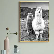Details you'll appreciate • digitally printed with a latex printer. Black And White Animal Alpaca Poster Canvas Art Painting Prints Wall Art Nursery Picture Llama Kids Room Decor Unframed Big Offer Aa0cee Siljanskate