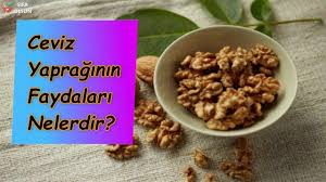 Ceviz Yapraginin Faydalari Nelerdir Dogal Receteler Recete Dogal