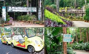 Check spelling or type a new query. Taman Botanikal Melaka Ayer Keroh Homestay Selesa Dan Murah Di Melaka Dan Ayer Keroh
