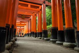 Want to know how to support local businesses this small business saturday 2019? Japan Express Osaka To Tokyo In Japan Asia G Adventures
