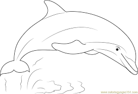 Show your kids a fun way to learn the abcs with alphabet printables they can color. Dolphin Show Coloring Page For Kids Free Dolphin Printable Coloring Pages Online For Kids Coloringpages101 Com Coloring Pages For Kids