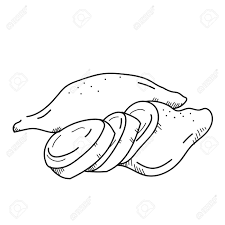 Black And White Sweet Potato Vector Freehand Drawing Illustration Vegetable Sweet Potato Drawing Illustrations Drawings Illustration