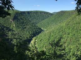 Maybe you would like to learn more about one of these? Best Trails In Colton Point State Park Pa Myhikes