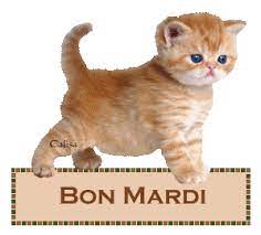 bon mardi