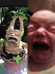 No My Child Does Not Look Like A Harry Potter Plant When She Cries Harry Potter Plants Harry Potter Potter