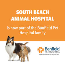 Find your nearest banfield pet hospital location with our store locator. Banfield Pet Hospital Near Me Pet S Gallery