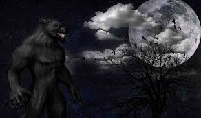 Bella feels it first at the movie theater in new moon, when she believes jacob has got a fever. Do Werewolves Really Exist Where Do They Live Twinkle Viral