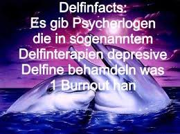 Man Nennt Die Delfime Nachdenkliche Spruche Mit Bilder Facebook