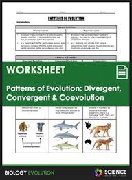 Evolution Divergent Evolution Convergent Evolution And Coevolution In 2020 Convergent Evolution Evolution Science Evolution