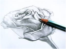 رسومات بنات لوحات فنيه لاجسام نساء لوحات بنات roses drawing rose painting rose art