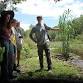 Eco-Friendly Foraging - Plants Walk / Wild Food event image