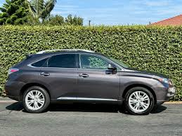 Image result for Golden Almond 2010 RX