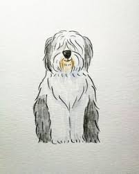 900 Oes Ideas In 2020 Old English Sheepdog Sheepdog Old English How to draw a sheepdog step by step for beginners. english sheepdog