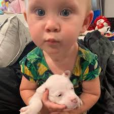 Mr. Fantastic is a #Materialists girl