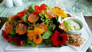 The seeds make a good substitute for capers; 7 Ways To Use Nasturtiums In Food Wikihow