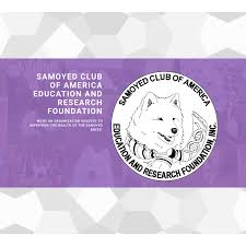 Pancreatic cancer is often hard to detect until the condition is at advanced stages, which is why the prognosis for dogs with this type of cancer is usually dire. Pancreatic Cancer