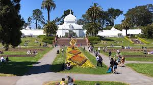 An evergreen perennial, it is widely cultivated for its dramatic flowers. The Conservatory Of Flowers In Golden Gate Park San Francisco