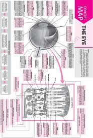 Blood is pumped from the heart in the arteries. Neet Biology The Eye Concept Map