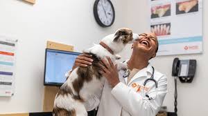 The company changed its name to medical management international, inc. Veterinarians In Salem Or Banfield Pet Hospital