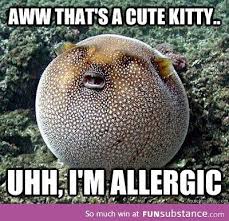 Funsubstance Funny Pics Memes And Trending Stories Sea Creatures Ocean Creatures Fish