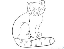 Panda bear zentangle coloring page. Red Panda Colouring Pictures