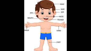 Learn dry fruits names in tamil and english with pictures. Udal Uruppugal Parts Of The Body For Kids In Tamil Learn Body Part Names In Tamil Youtube