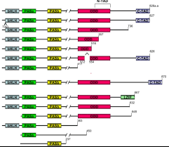 210 Questions With Answers In Amino Acid Sequence Science Topic