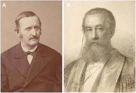 Image result for Schlechterina