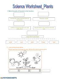 Free science resources including experiment instructions, science worksheets and science i've also got a free super scientist certificate you can download as a reward for brilliant science! Science Worksheet Thursday Worksheet