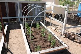 A raised bed hoop house. Making Garden Bed Hoops 7 Steps With Pictures Instructables
