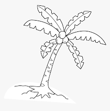 Coconut palm trees on island coloring page. Coloring Page Free Clip White Coconut Tree Hd Png Download Transparent Png Image Pngitem