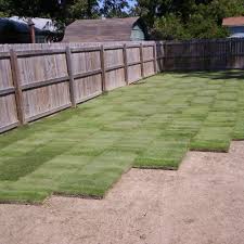 Zoysiaplug.com grows and sells zoysia grass plugs that grow great in most of the united states. Zeon Zoysia 504 Sq Ft Atlanta Sod Company