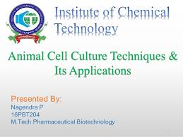 Technical disadvantages to using serum include the undefined. Animal Cell Culture Slideshare Animal Cell Culture Introduction Types Methods And Applications