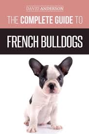 Don't miss what's happening in your neighborhood. The Complete Guide To French Bulldogs Everything You Need To Know To Bring Home Your First French Bulldog Puppy By Anderson David Opentrolley Bookstore Malaysia