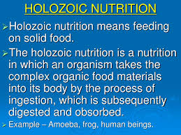 Ppt Nutrition And Respiration Class X Powerpoint Presentation Free Download Id 7002865