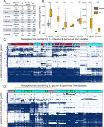 Virgo A Comprehensive Non Redundant Gene Catalog Reveals Extensive Within Community Intraspecies Diversity In The Human Vagina Biorxiv
