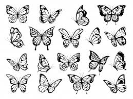 Download Free Butterfly Vectors 14 000 Images In Ai Eps Format