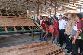 Syarat masuk pabrik triplek / tiga perusahaan jepang merelokasi pabrik dari cina ke. Perusahaan Di Barito Utara Bangun Pabrik Veneer Antara News