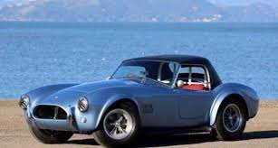 Pin By Bambang Haryanto On Snake Basket Shelby Cobra Ac Cobra Cobra