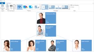 Winforms Diagram Flowchart Orgchart Control Devexpress