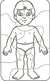 Prihlasenie Puzzle Body Activities For Kids