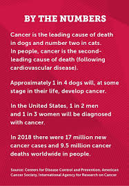 They should not fight cancer alone. Cancer Crusaders University Of Wisconsin School Of Veterinary Medicine