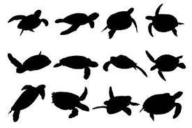 Collection Of Turtle Vector Silhouettes Turtle Silhouette Turtle Art Sea Turtle Tattoo