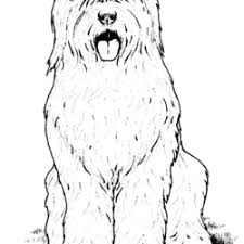 Os três super fofos e o cachorrinho. Desenhos De Cachorros Para Imprimir E Colorir