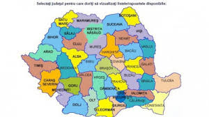 Liceele cu cele mai multe medii de 10 la admitere. Admitere Liceu 2017 Edu Ro Repartizare ComputerizatÄƒ Licee Pentru ToÈ›i Elevii