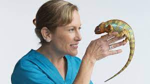 Hagewood, 5900 canton center rd., mi 48187; Dr K The Exotic Pet Vet From South Florida Is Back On Tv For New Season Of Wild Office Visits South Florida Sun Sentinel South Florida Sun Sentinel